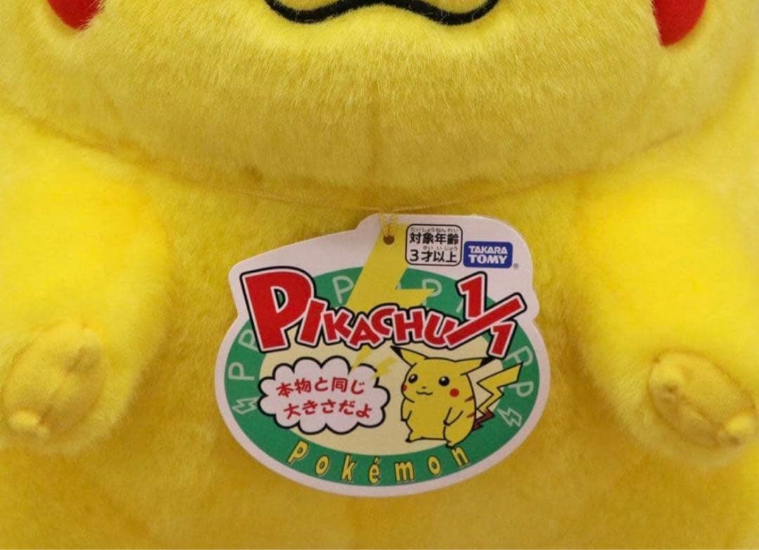 ポケモン30周年記念おかえり!ピカチュウ1/1 専用BOX付き