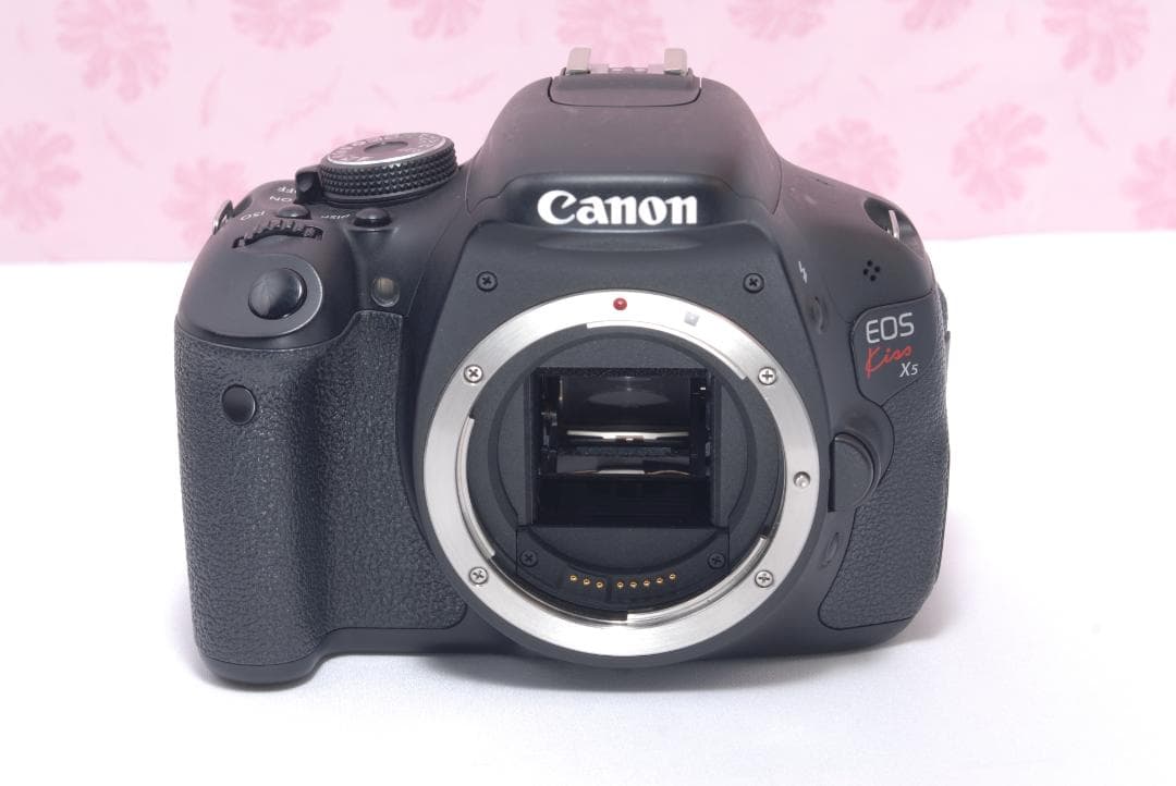 ⭐️ショット数少なめ⭐️Canon Kiss X5 キャノン　デジタル一眼