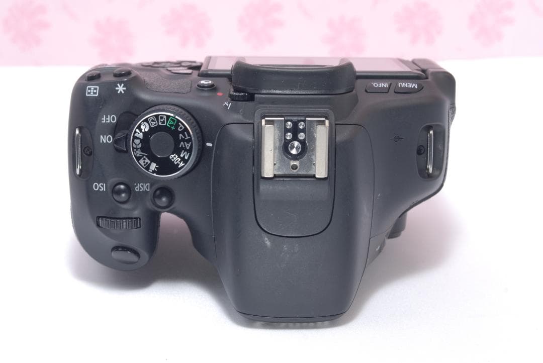 ⭐️ショット数少なめ⭐️Canon Kiss X5 キャノン　デジタル一眼