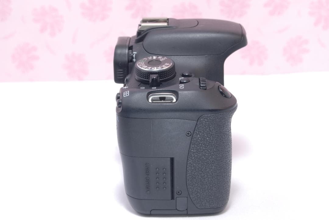 ⭐️ショット数少なめ⭐️Canon Kiss X5 キャノン　デジタル一眼