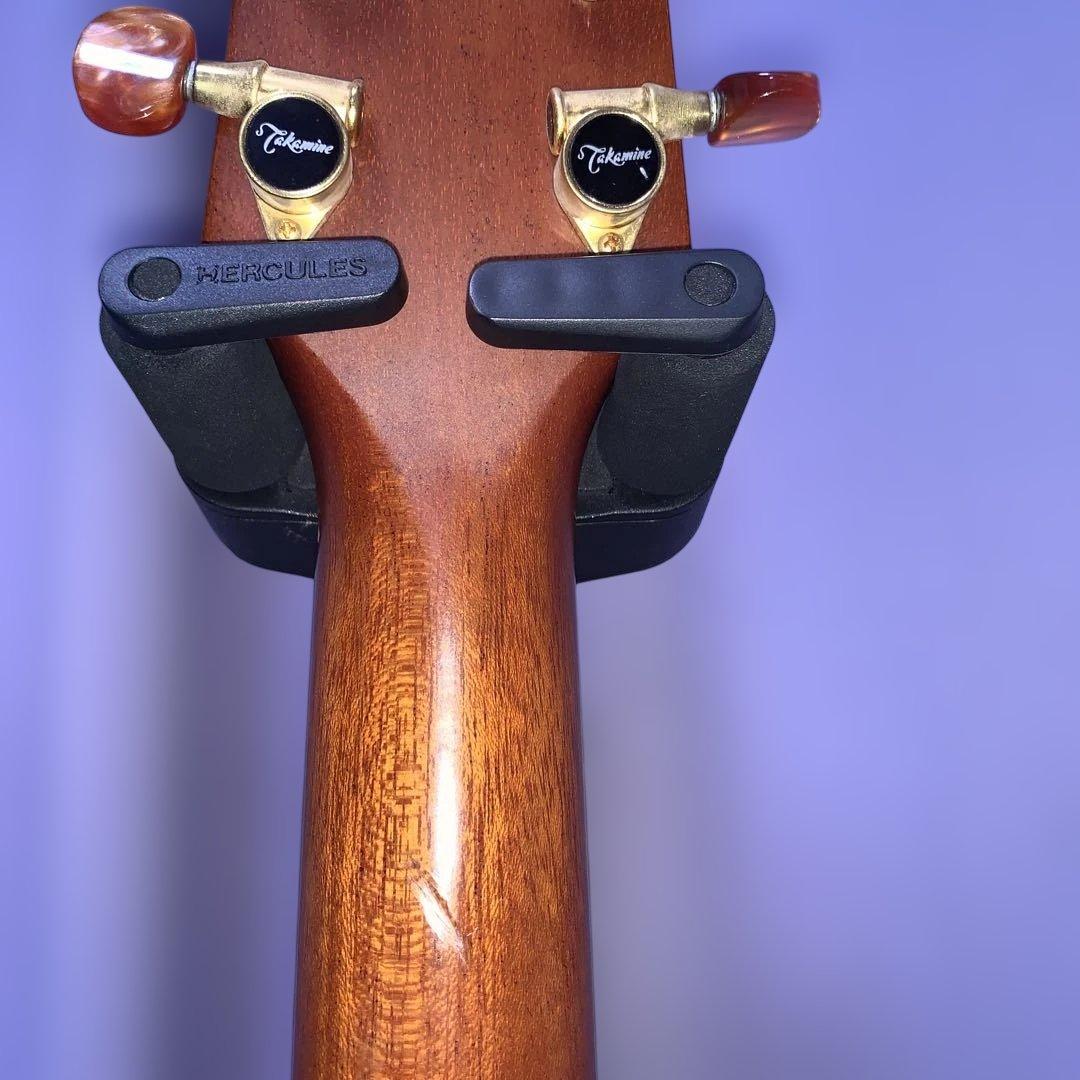 タカミネ SANTA FE PSF-95