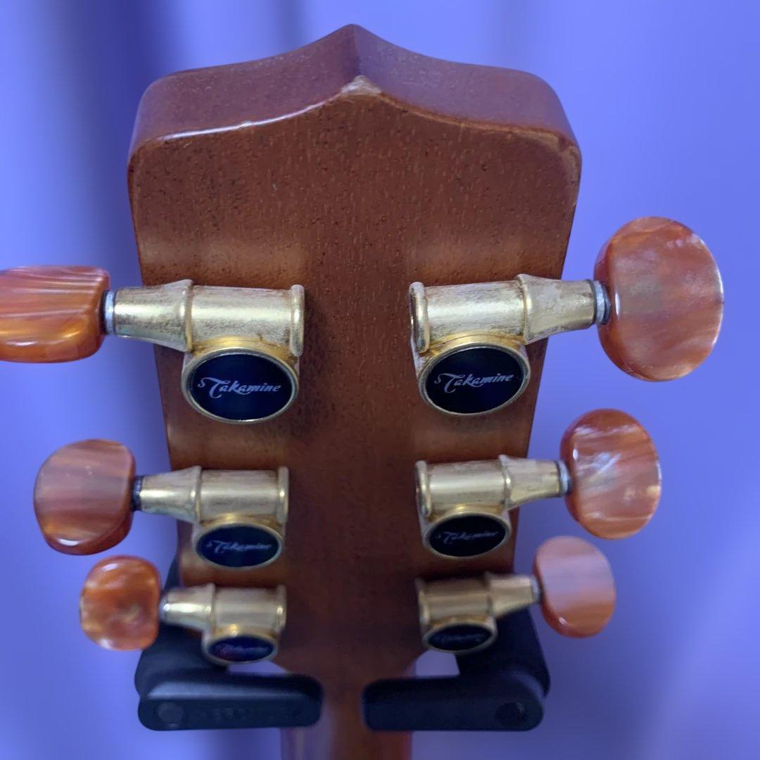 タカミネ SANTA FE PSF-95