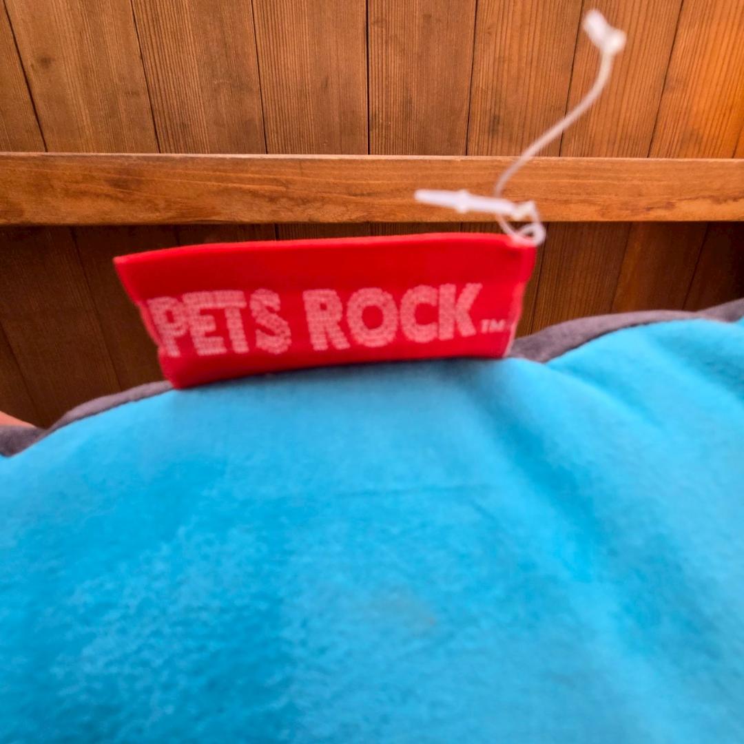 PETS ROCK　UK製 デヴィッド・ボウイ モルモット クッション