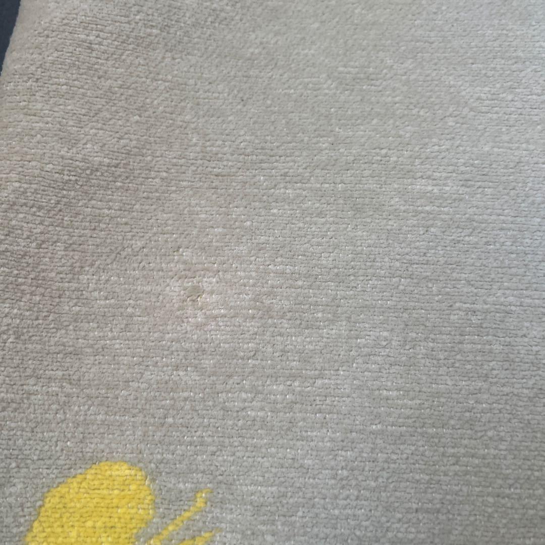 m*n様 aoi＊様 シュニールコットンクッションカバー CHOUCHO