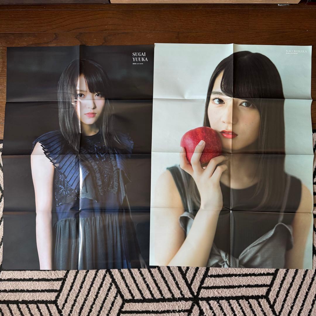 欅坂46 けやき坂本46 付録ポスター ファイル まとめ売り