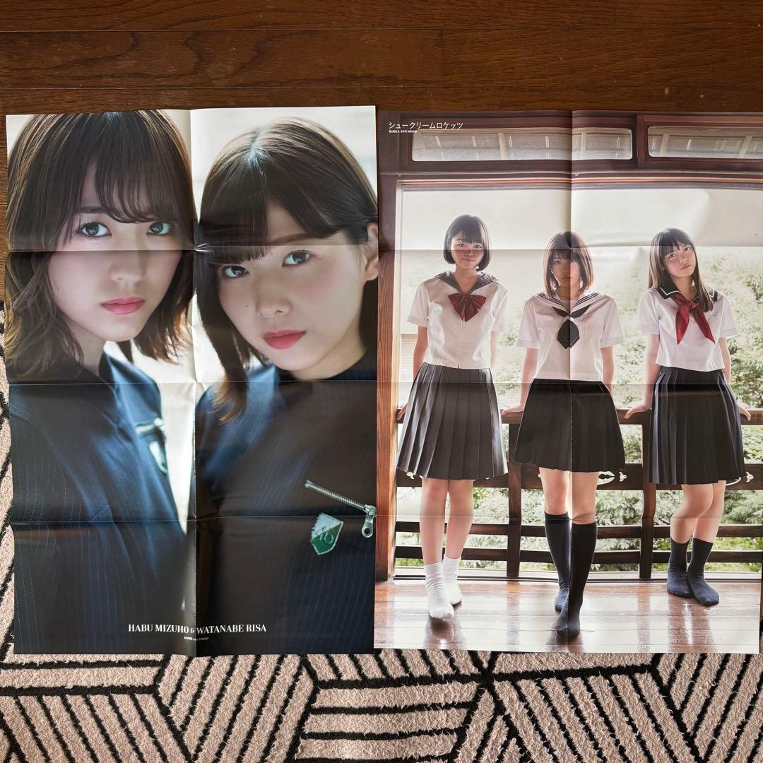 欅坂46 けやき坂本46 付録ポスター ファイル まとめ売り