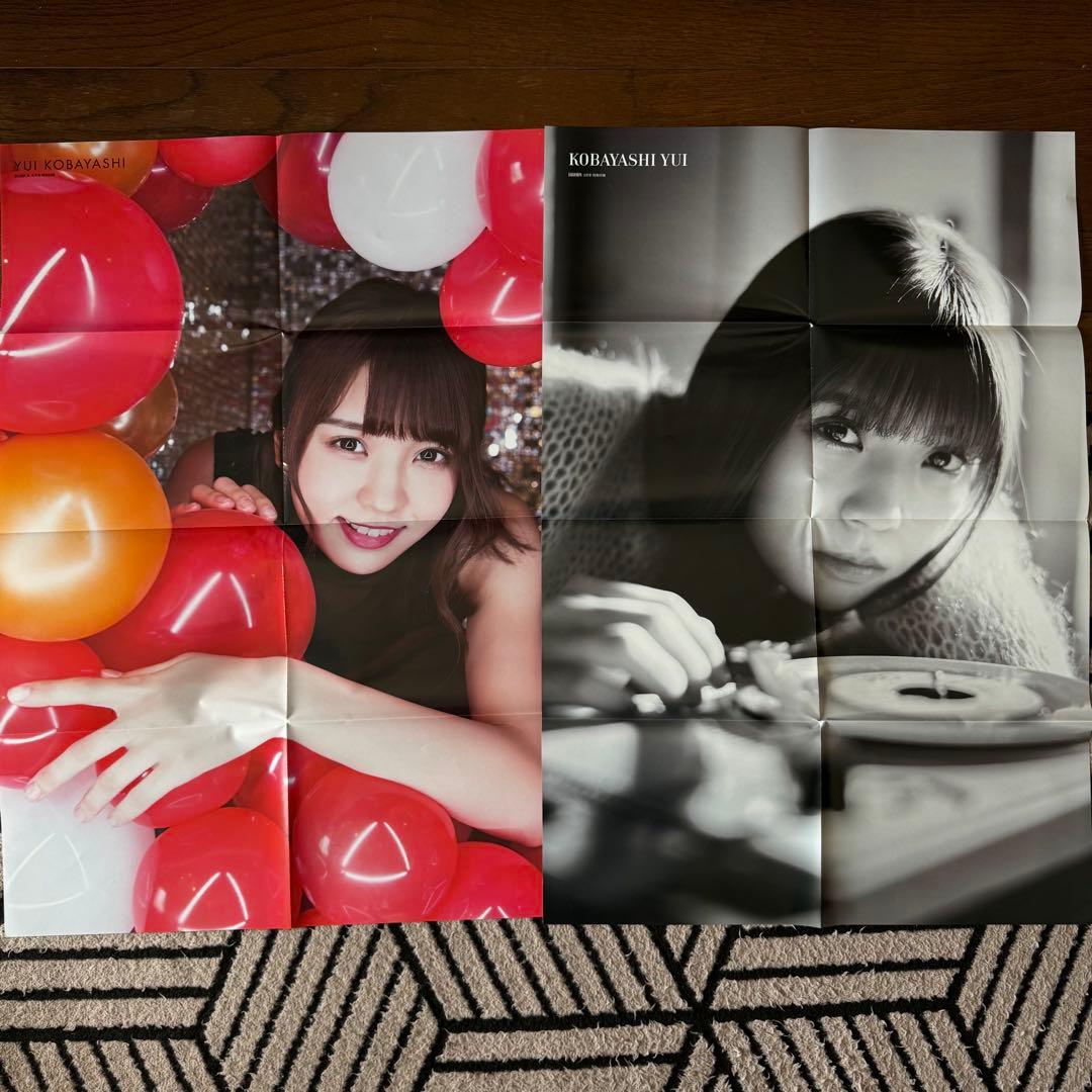 欅坂46 けやき坂本46 付録ポスター ファイル まとめ売り