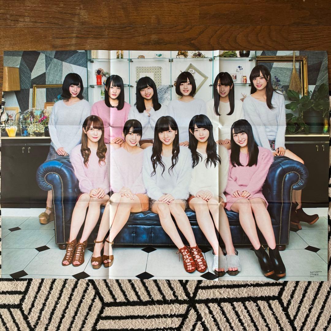 欅坂46 けやき坂本46 付録ポスター ファイル まとめ売り