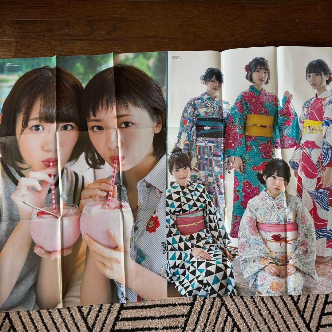 欅坂46 けやき坂本46 付録ポスター ファイル まとめ売り