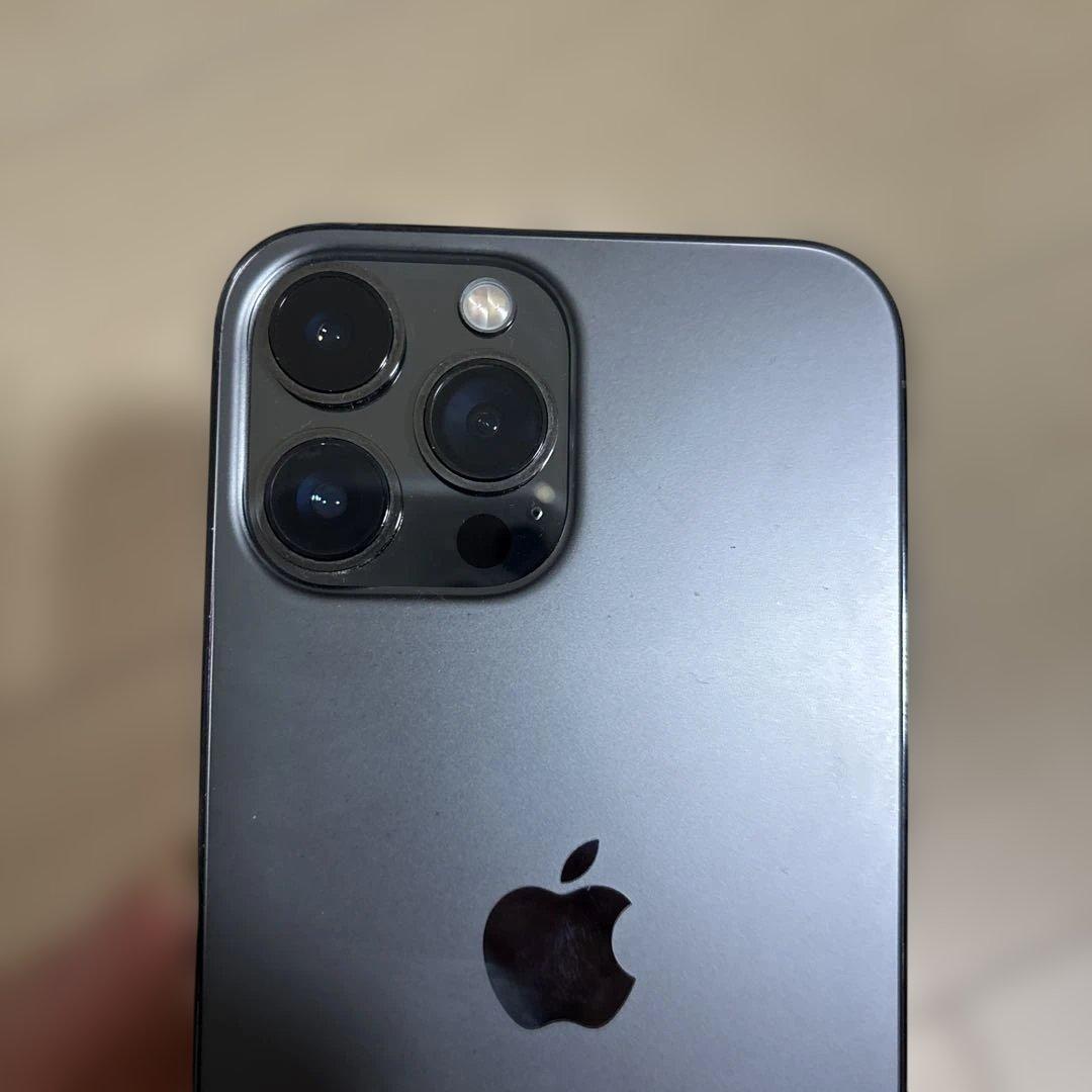 外国版 iPhone 13 Pro Max 256gb