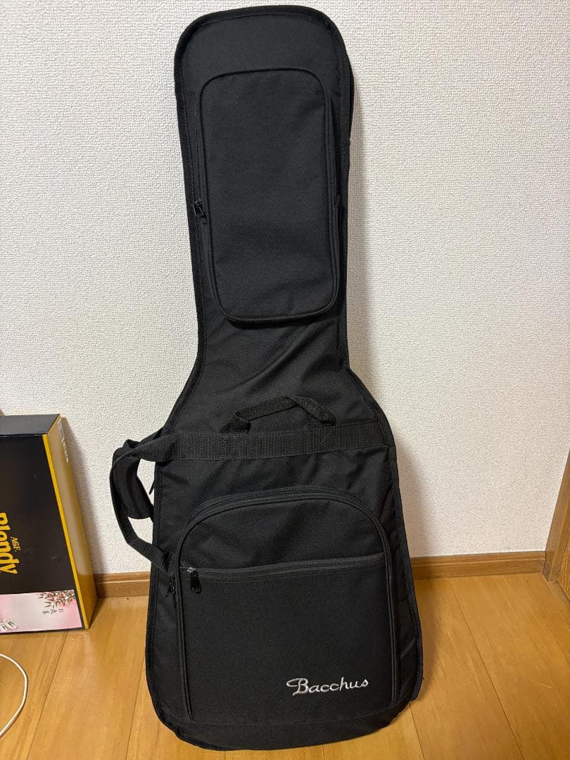 ギター Bacchus Global Series TACTICS24-ASH/RSM