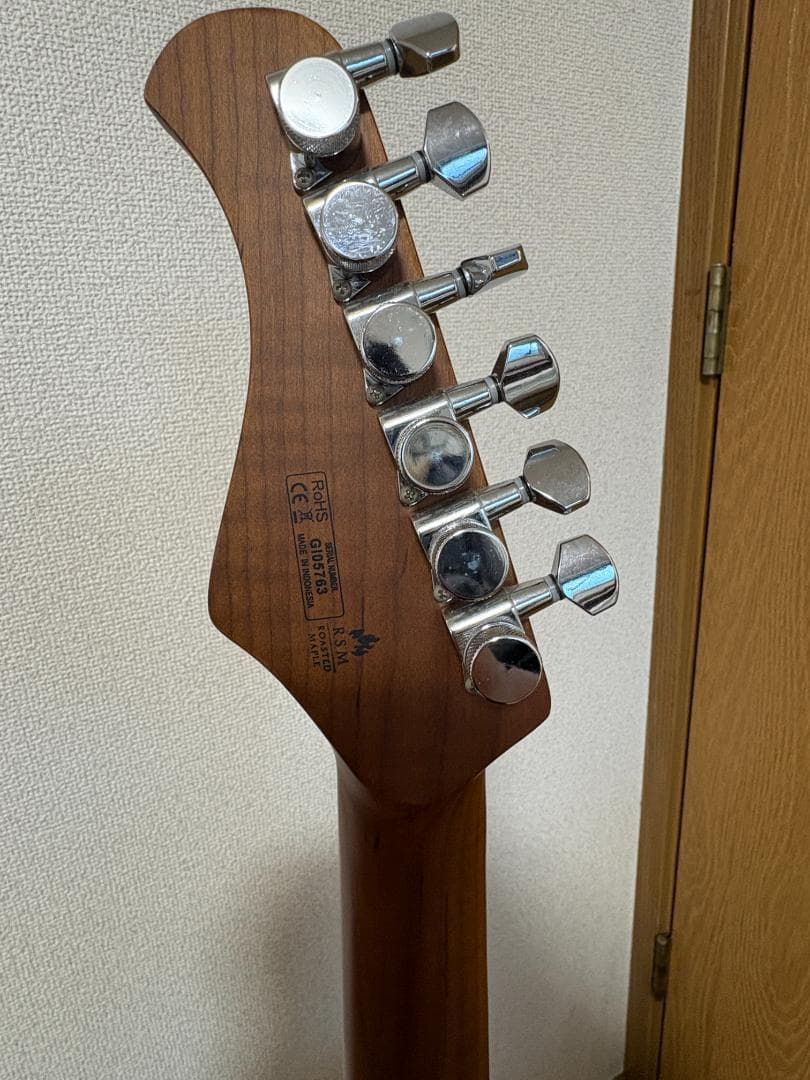 ギター Bacchus Global Series TACTICS24-ASH/RSM