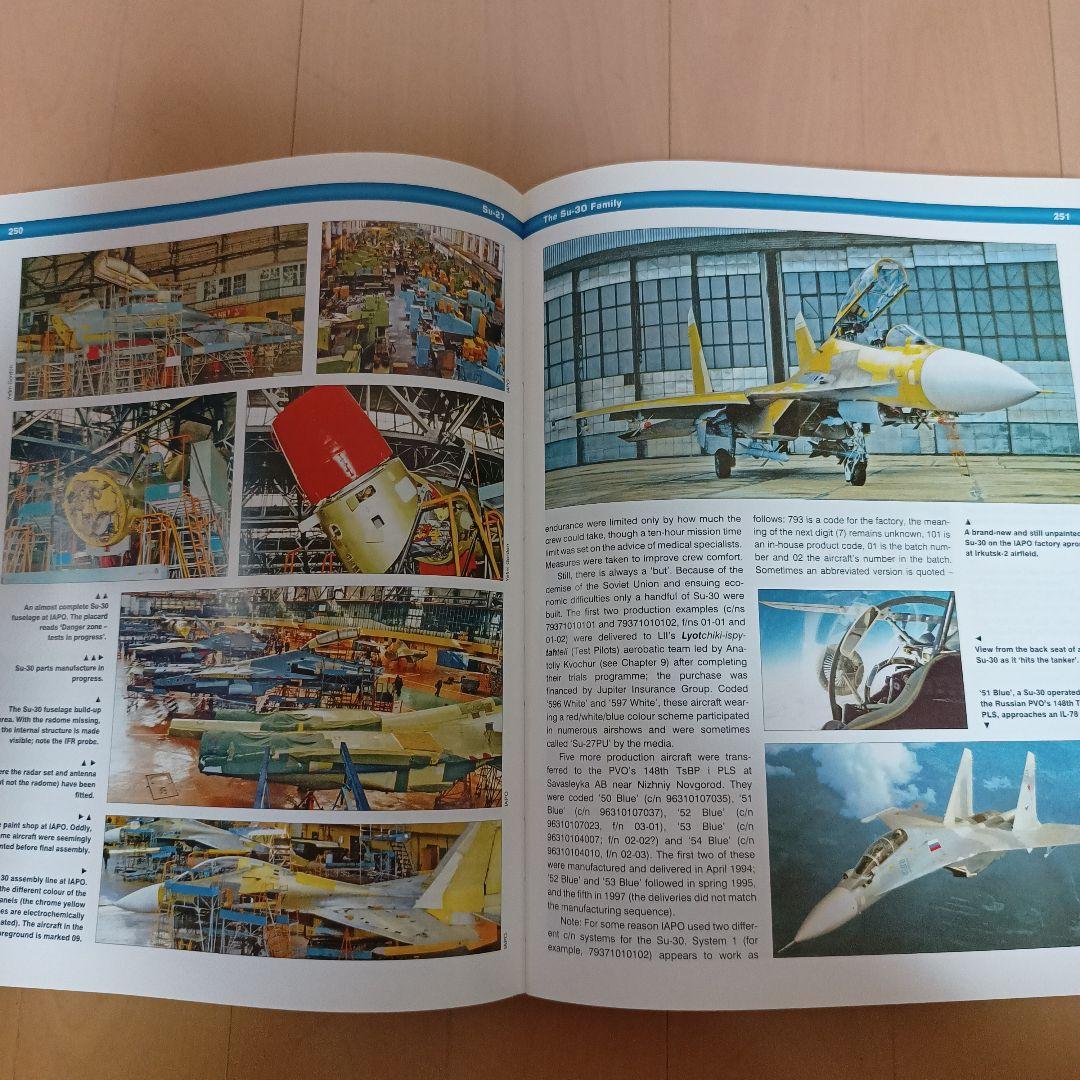 Sukhoi Su-27 スホーイ　スホイ　ロシア