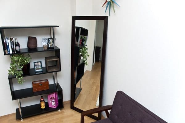 ジャンボミラー