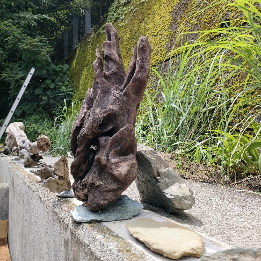 龍神ブランドの超レアアンティーク流木
