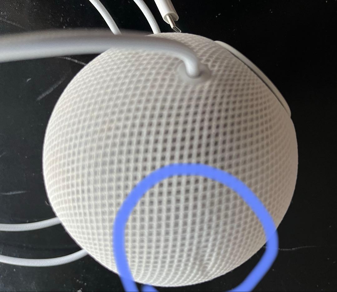 Apple Pod mini ホワイト（電源アダプタなし）