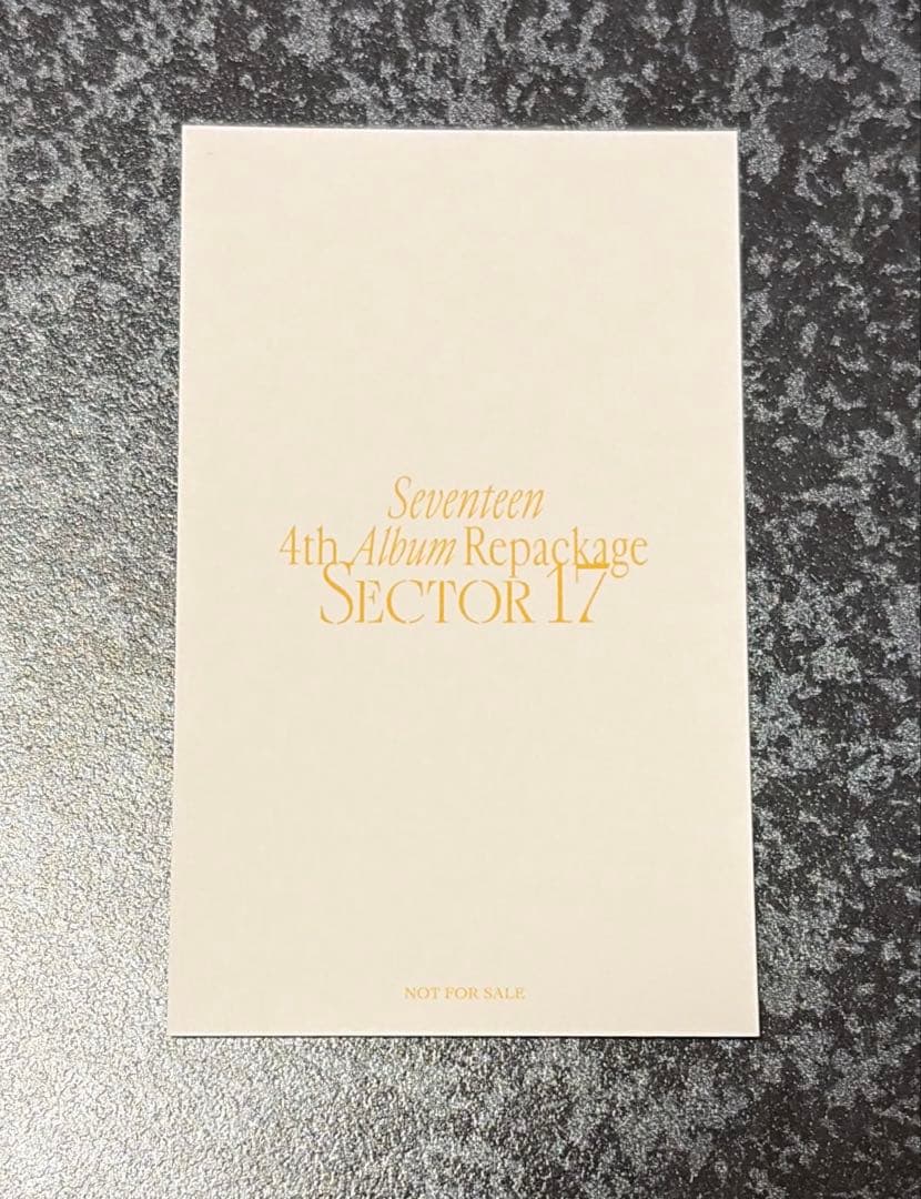 SEVENTEEN SECTOR 17 ラキドロ THE8