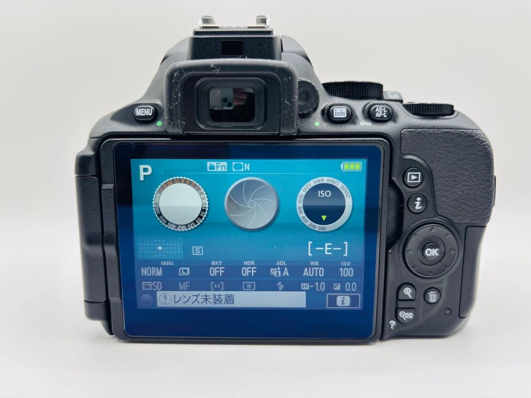 【美品・完動品】Nikon D5600 AF-P 18-55mm レンズキット