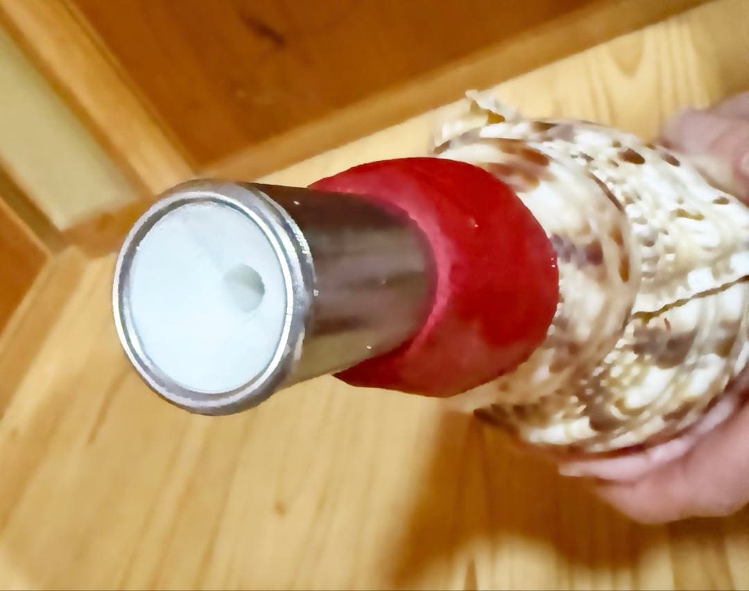 RIOさま専用　法螺貝　ほら貝　ホラガイ❣️赤紐付き