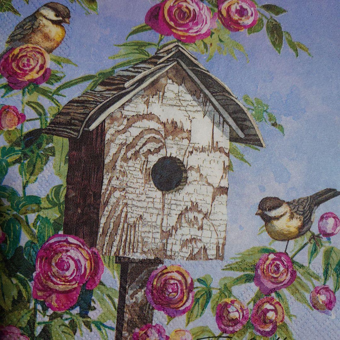 鳥ペーパーナプキン１０枚