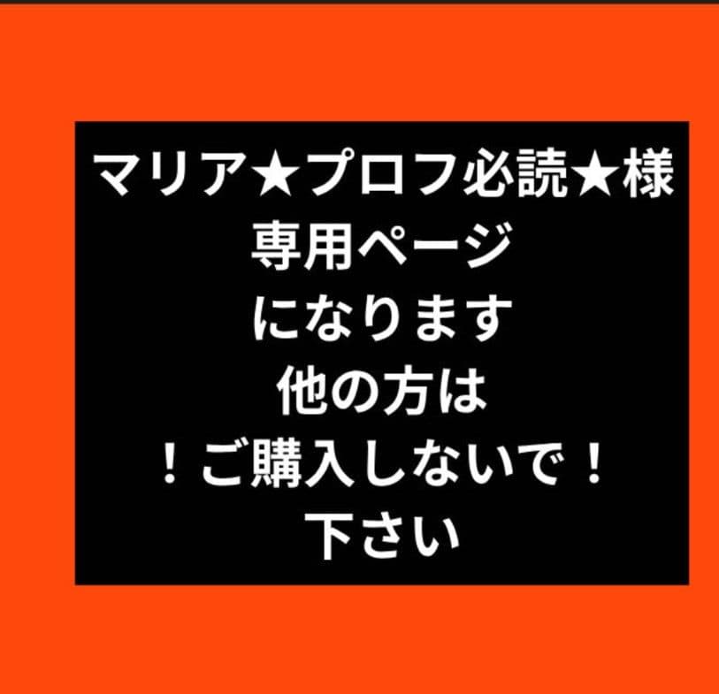 マリア★プロフ必読★専用ページ
