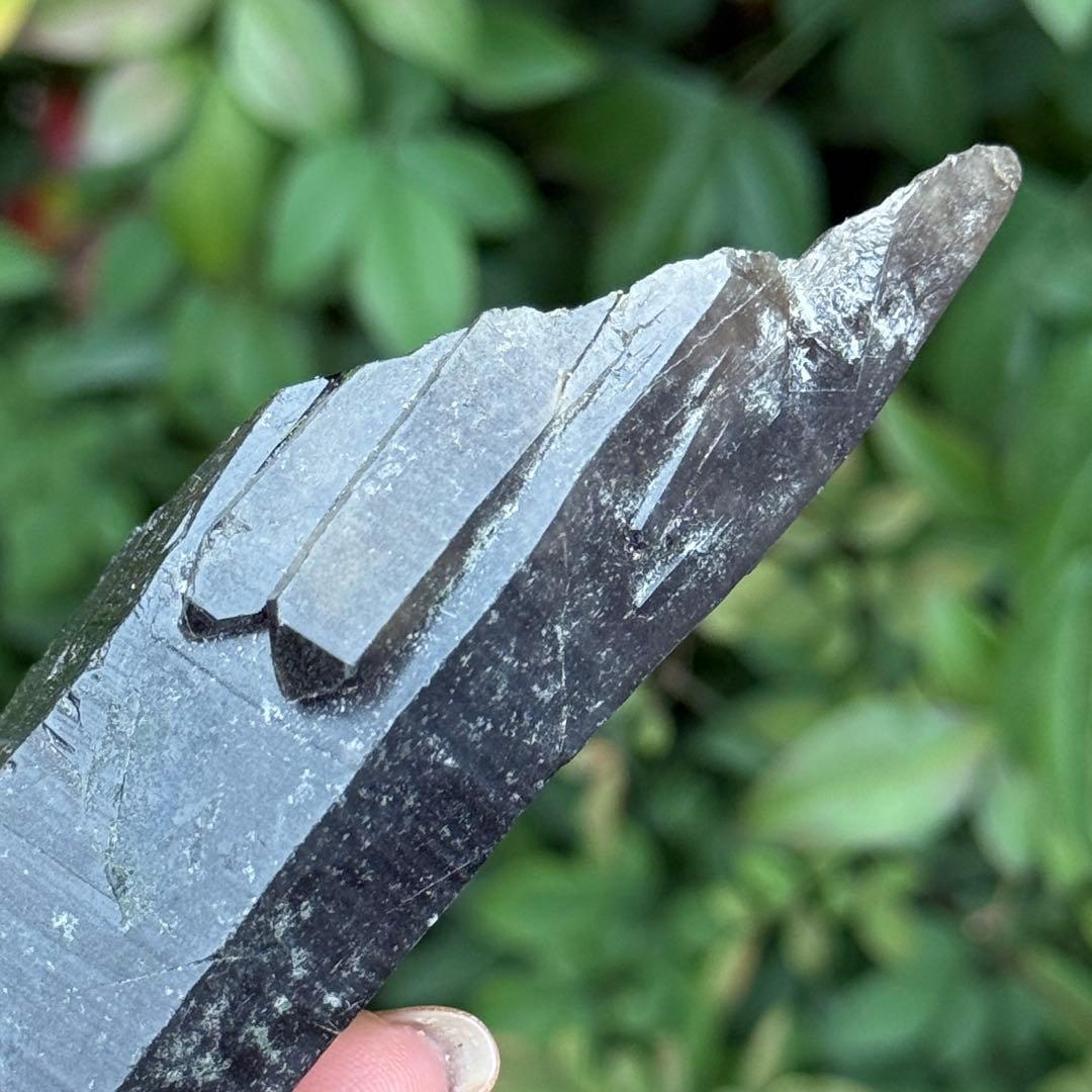 モリオン 黒水晶 天然無処理 原石 MY1250