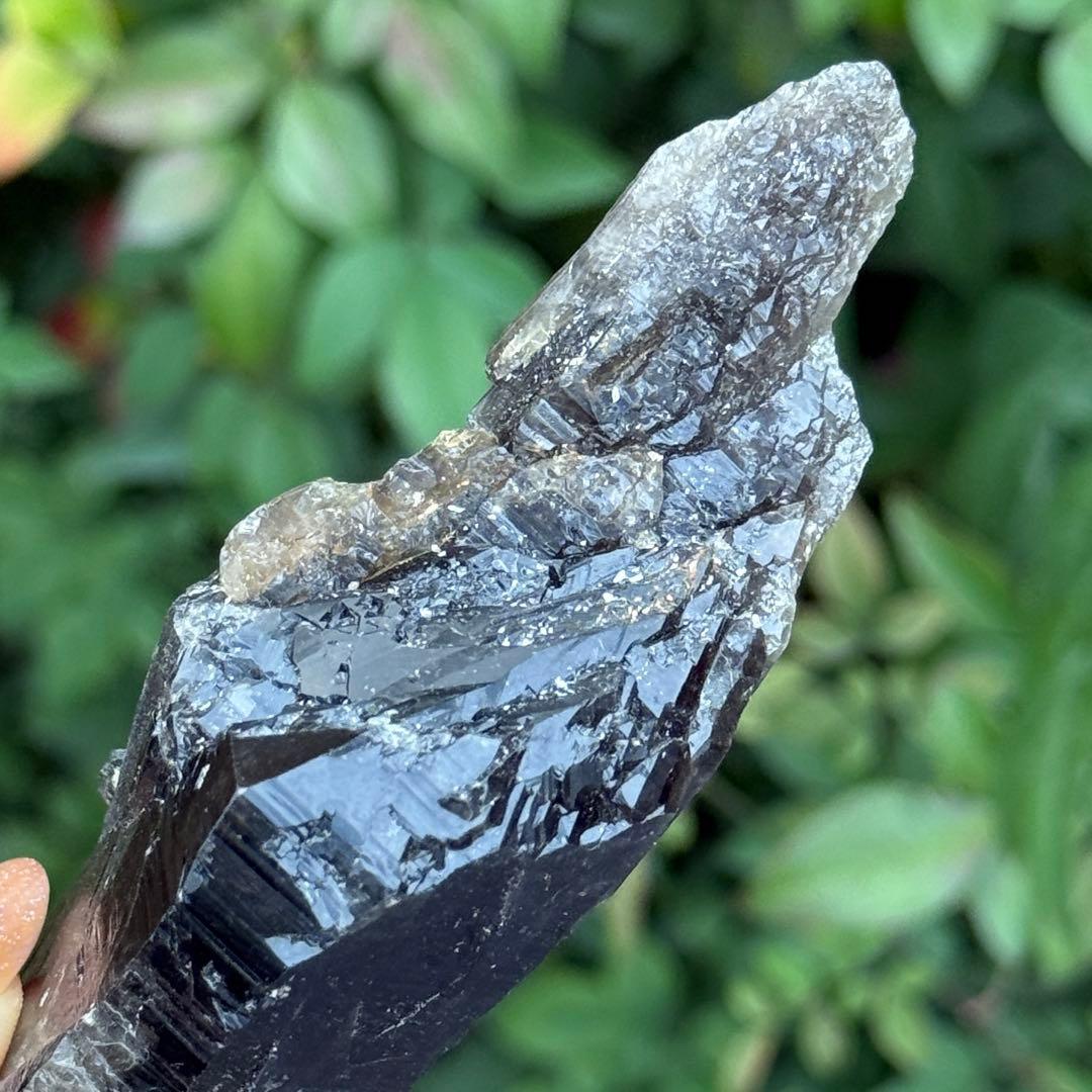 モリオン 黒水晶 天然無処理 原石 MY1250