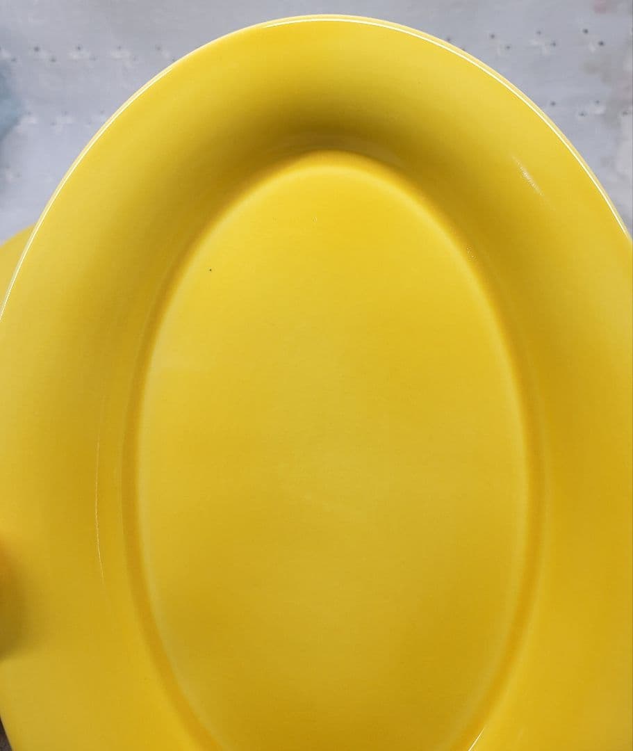 2枚✨ロイヤルコペンハーゲン FAJANCE オーバルプレート 皿 デンマーク