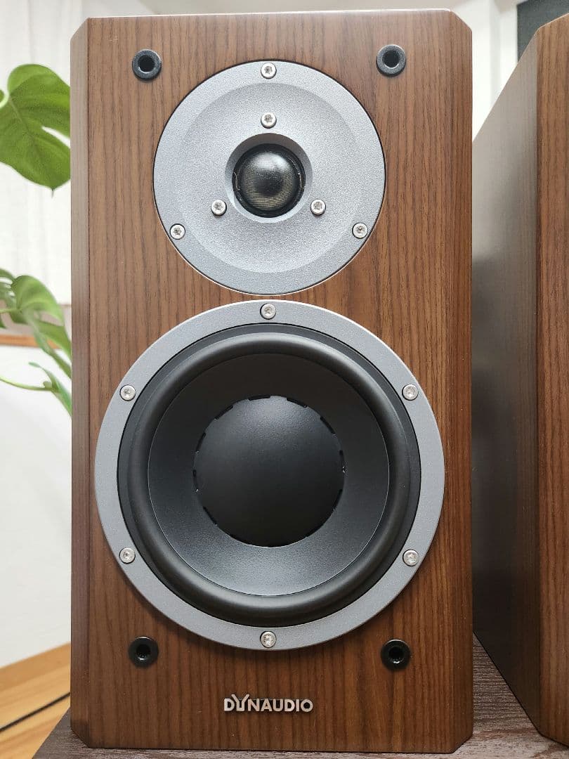 Dynaudio focus160『美品』