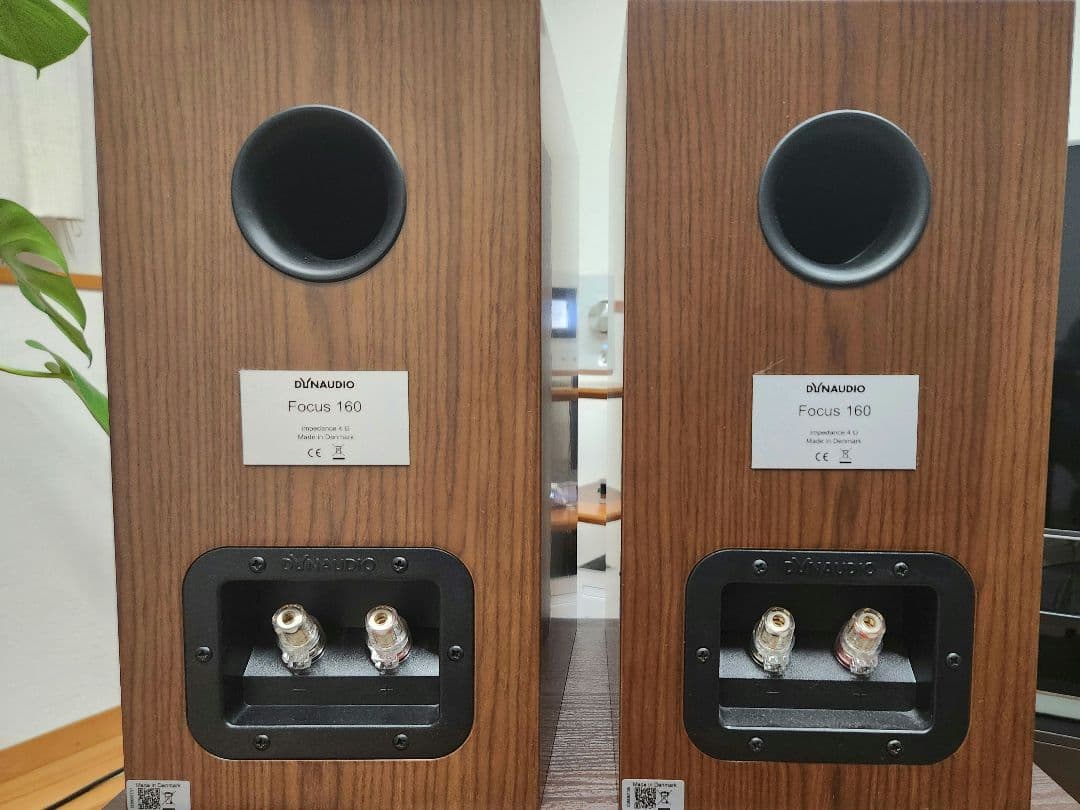 Dynaudio focus160『美品』