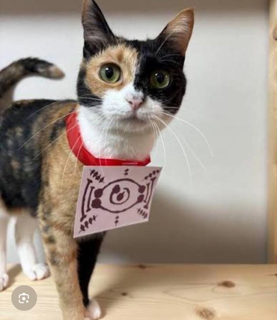 猫さんイメージ画像見本