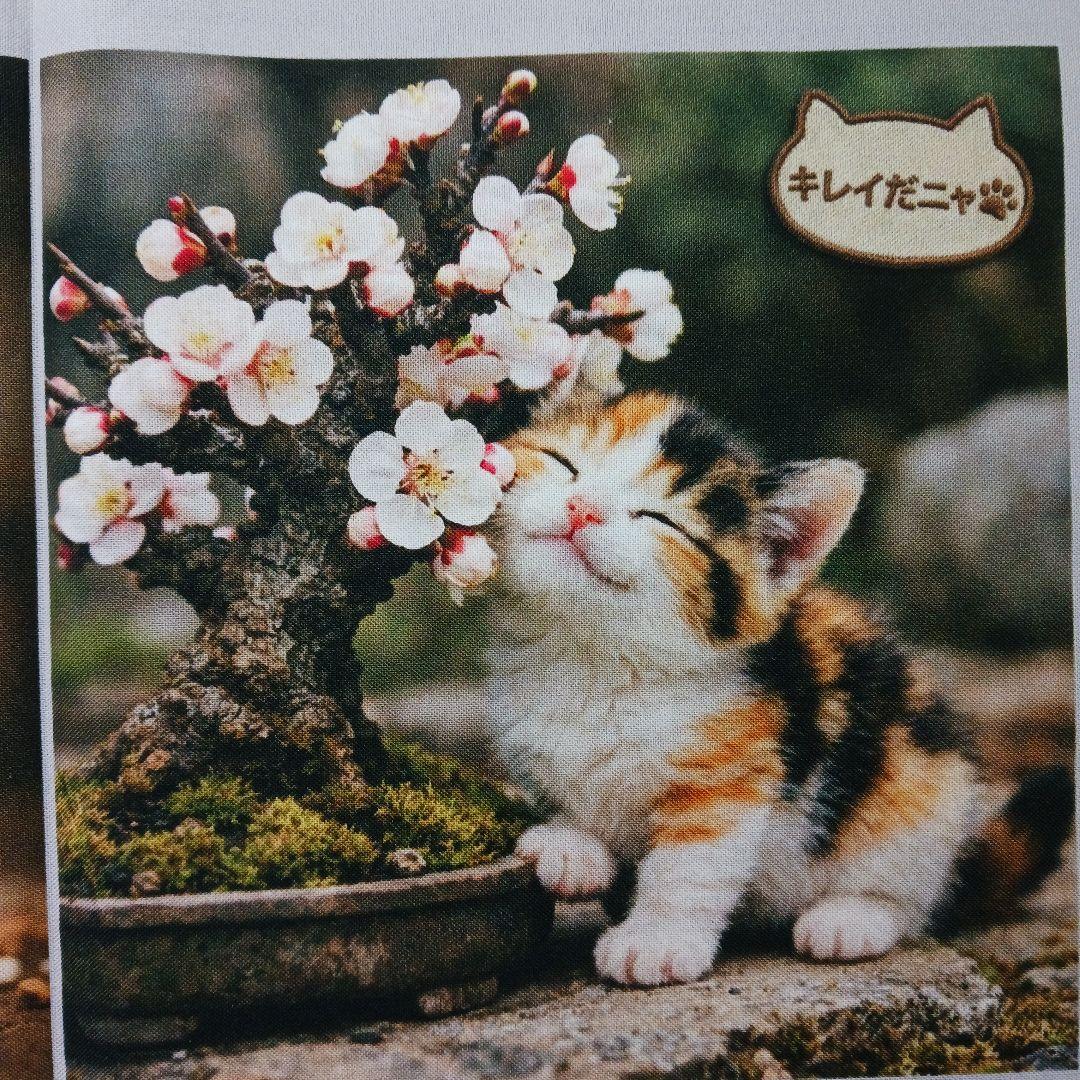 ご予約受付ページ　猫パネル