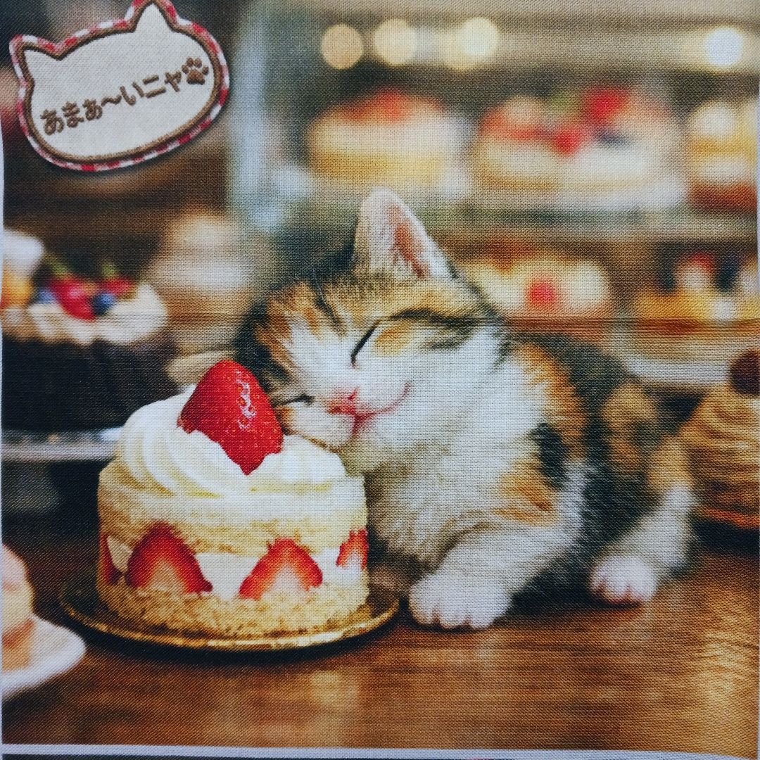 ご予約受付ページ　猫パネル