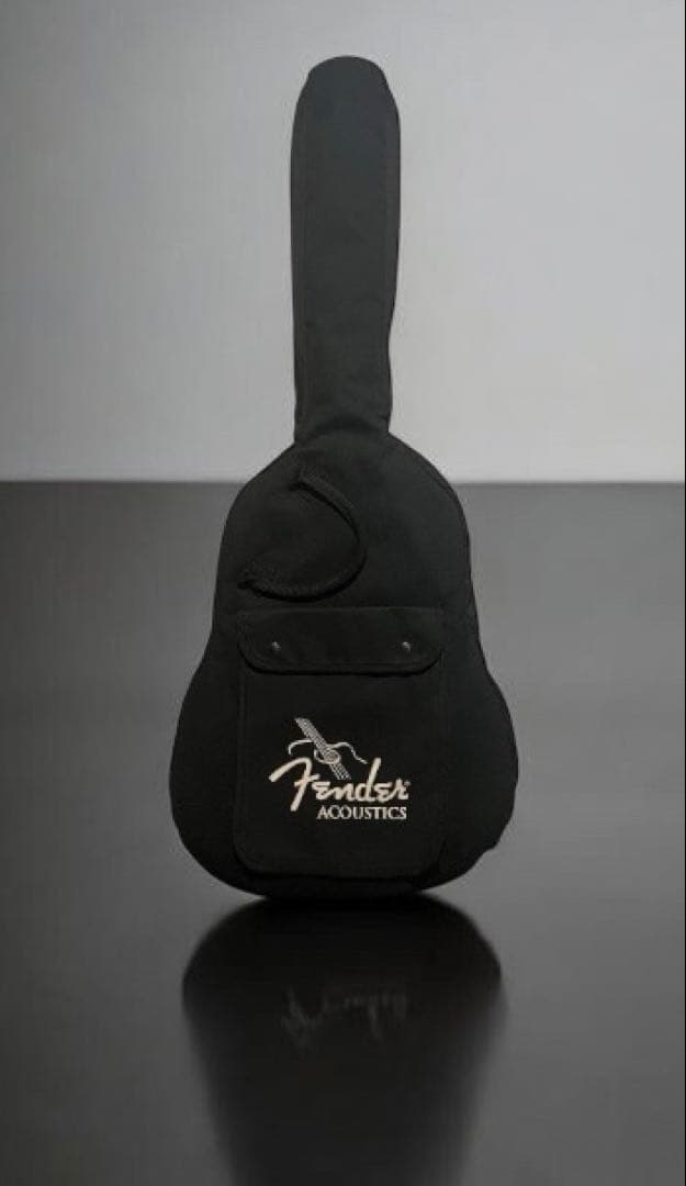 FENDER U.S.A. DG-16 SB アコースティック ギター