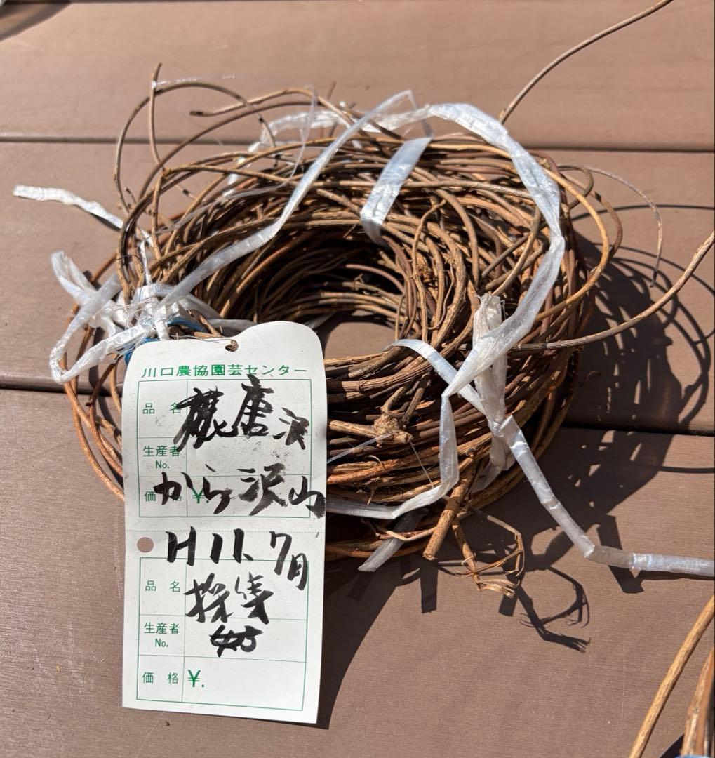 オオツヅラフジ 大葛藤 山葡萄 山ぶどう 木製クラフト素材 セット ハンドメイド