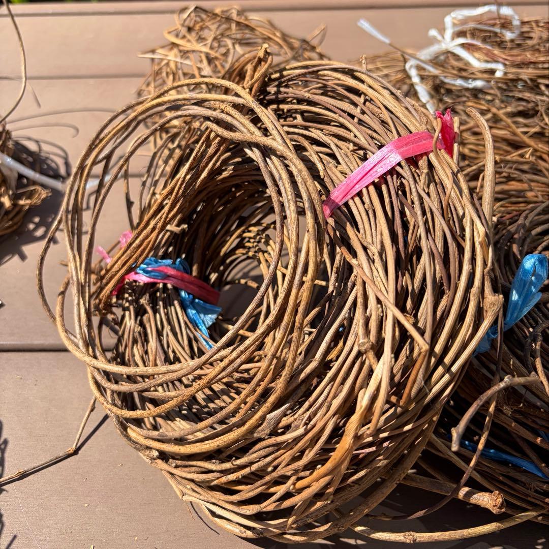 オオツヅラフジ 大葛藤 山葡萄 山ぶどう 木製クラフト素材 セット ハンドメイド