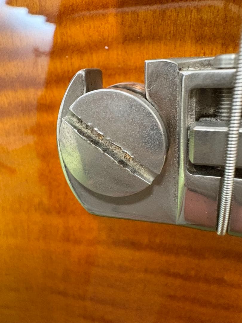 ギター Paul Reed Smith (PRS) SE ZACH MYERS