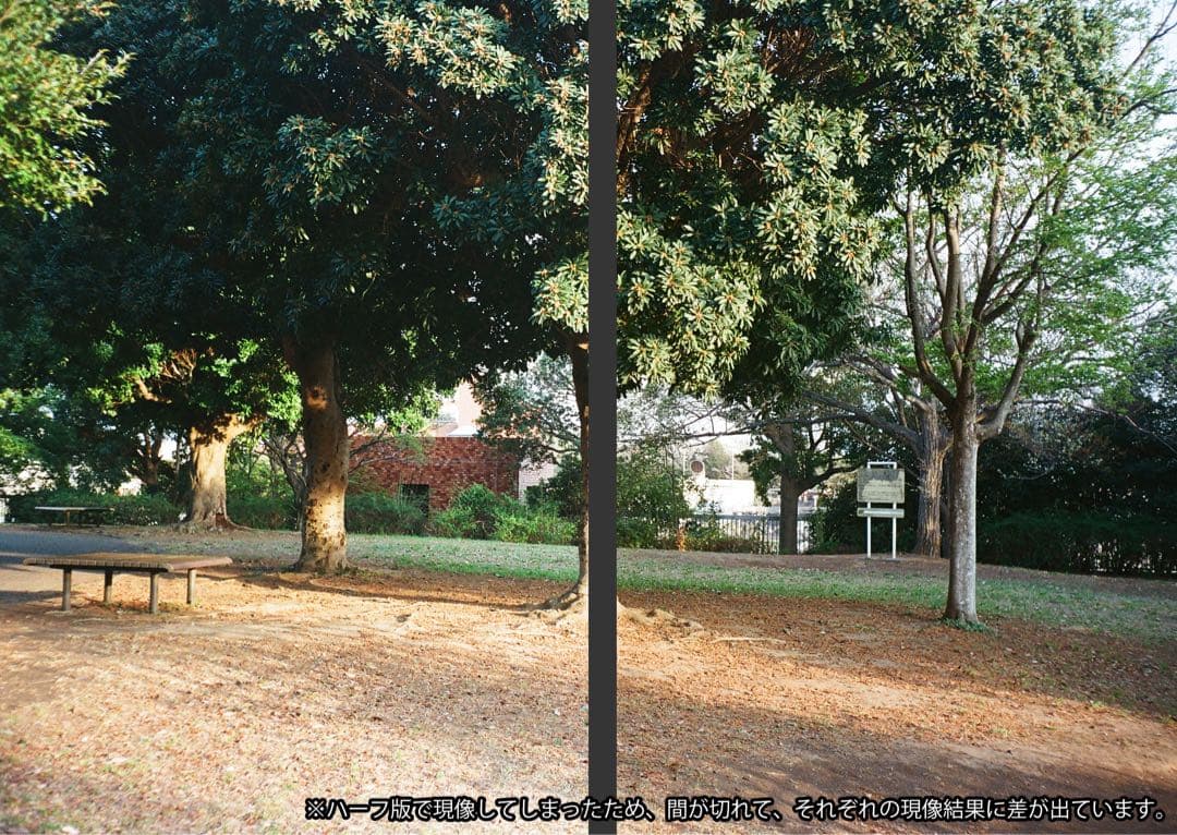 【動作保証・撮影確認済み】OLYMPUS TRIP35