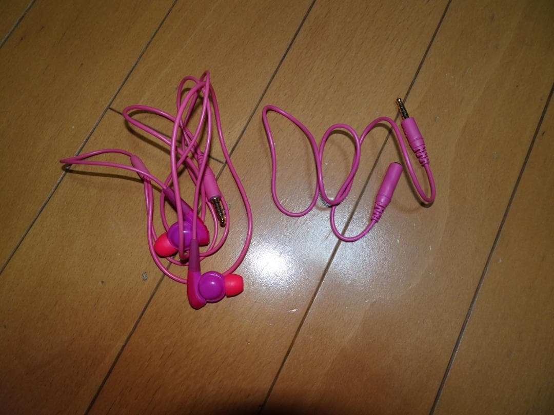 【すべて動作正常】SONY NW-S315 16GB