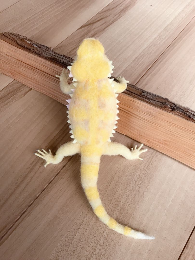 フトアゴヒゲトカゲ　イエロー