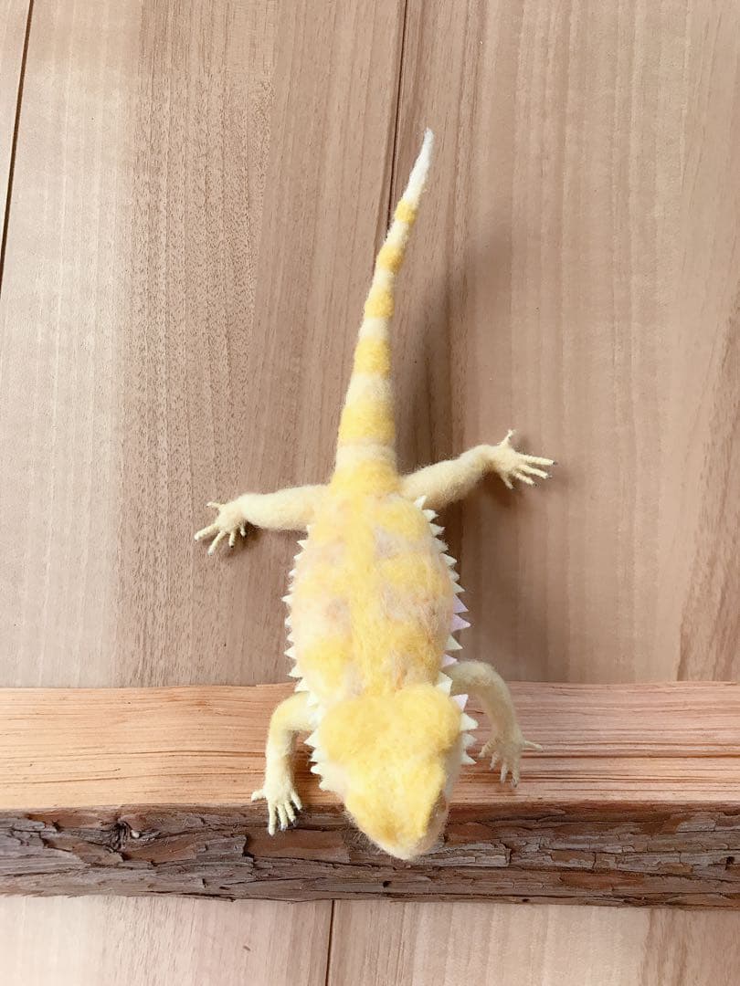 フトアゴヒゲトカゲ　イエロー