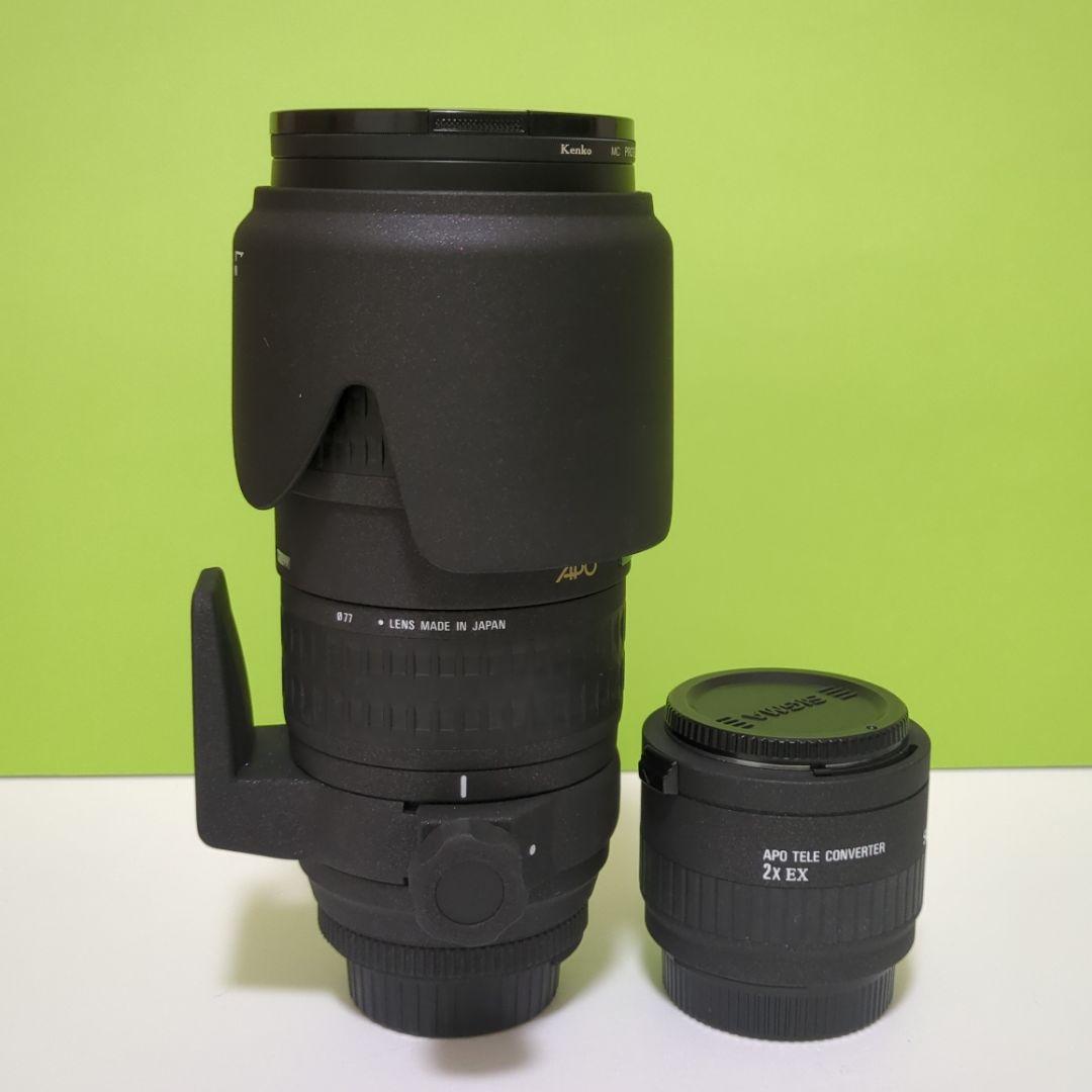 美品 SIGMA 70-200mm F2.8D APO HSM (Nikon用)