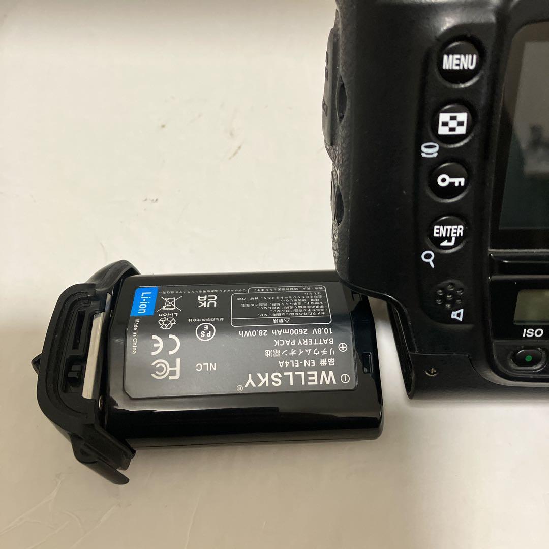 【届いてすぐ撮影】Nikon D2H + 標準レンズセット 動作確認　プロ機入門