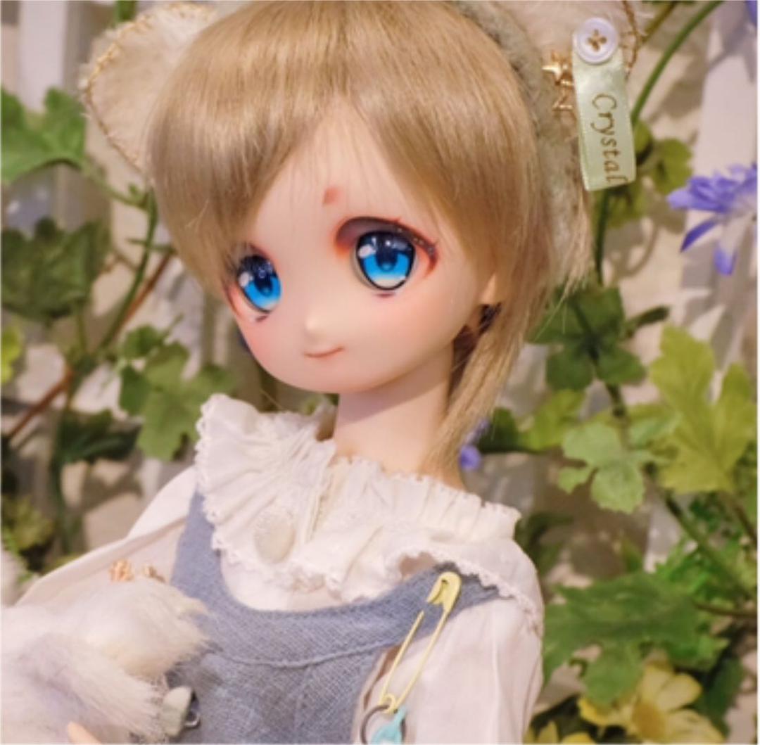 DDH-22 フレッシュ　ヘッドのみ ドルフィードリーム