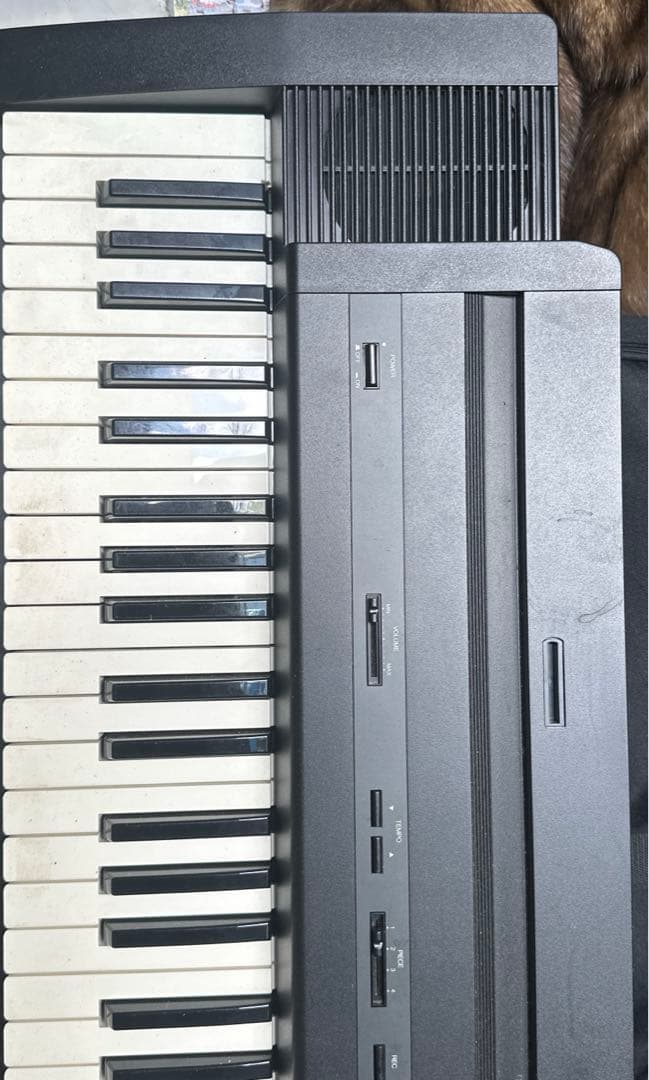 Roland EP-7Ⅱ ローランド 電子ピアノ本体のみ