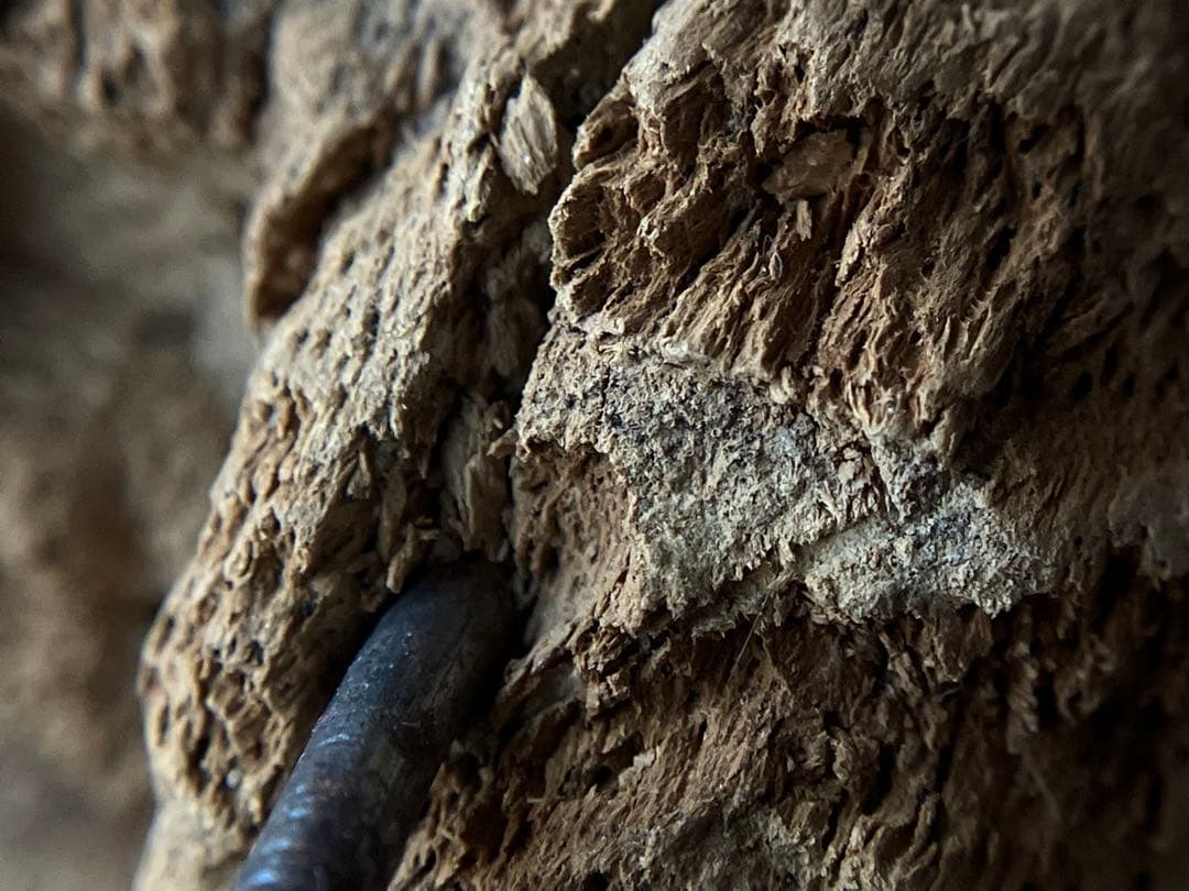 【おはよう仏 18〜19世紀頃 タイ北部 ランナー地方 木彫金箔坐仏】骨董仏像