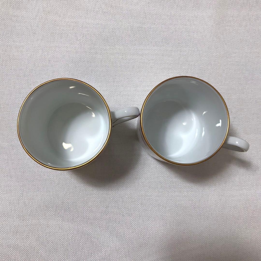 リチャードジノリ カップ&ソーサー ディナープレート2客セット