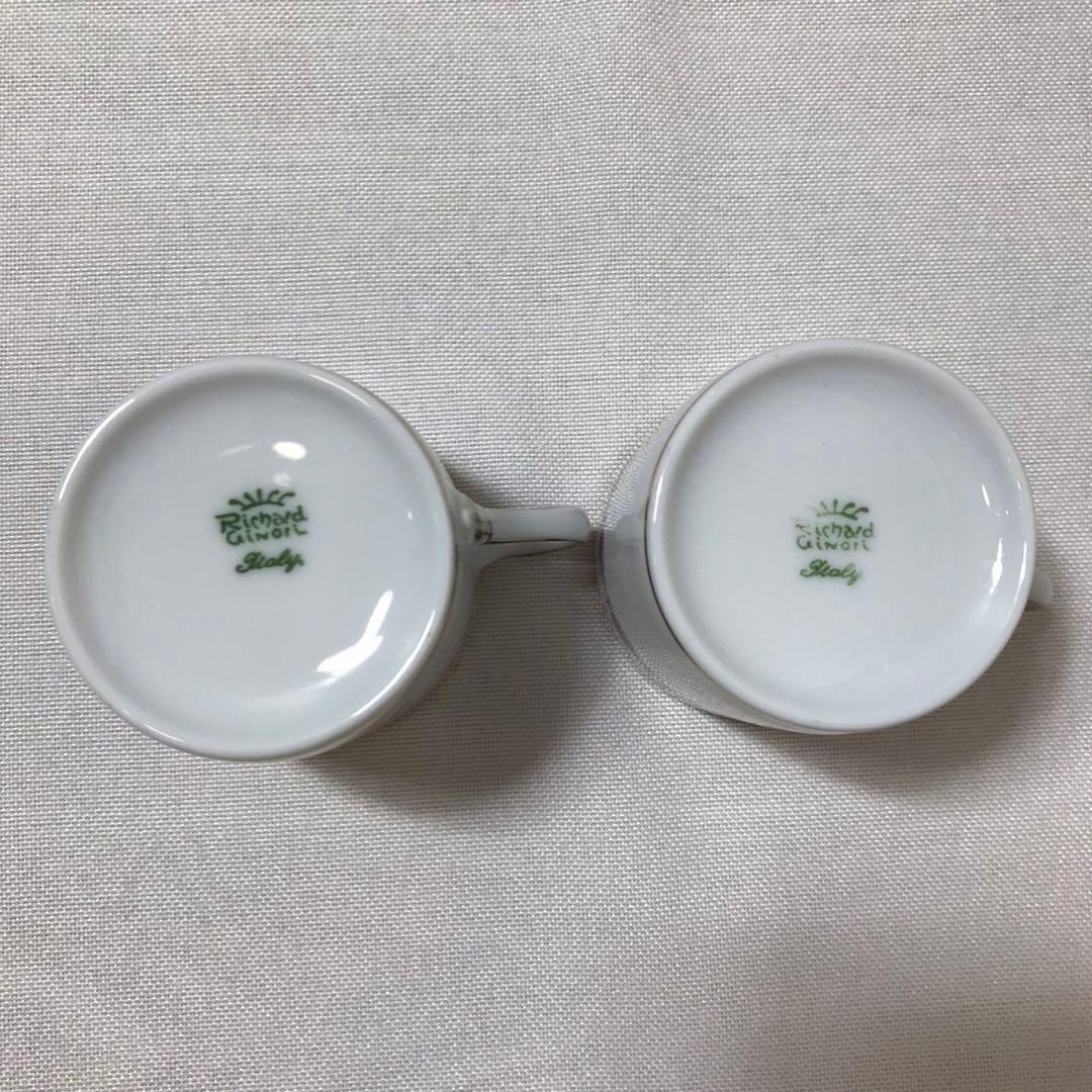リチャードジノリ カップ&ソーサー ディナープレート2客セット