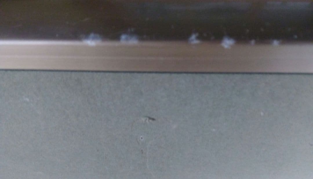 スズラン　花の絵　日本画