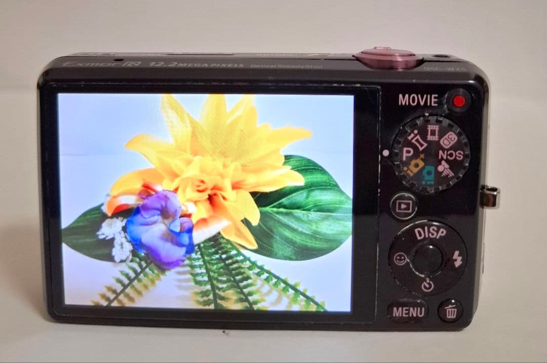 ソニー SONY Cyber-Shot DSC-WX5 デジタルカメラ